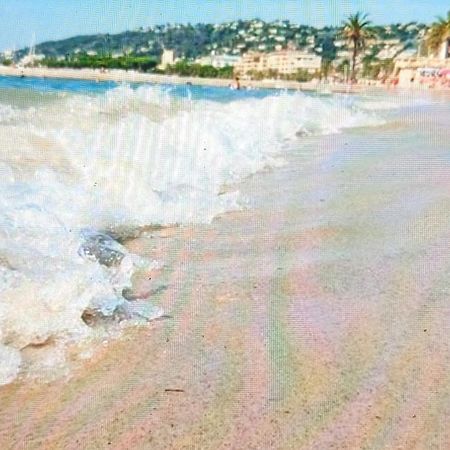 Residence De Vacances Avec Piscine & Transat, A 2 Minutes Des Plages - Bat N2 Vallauris Eksteriør billede