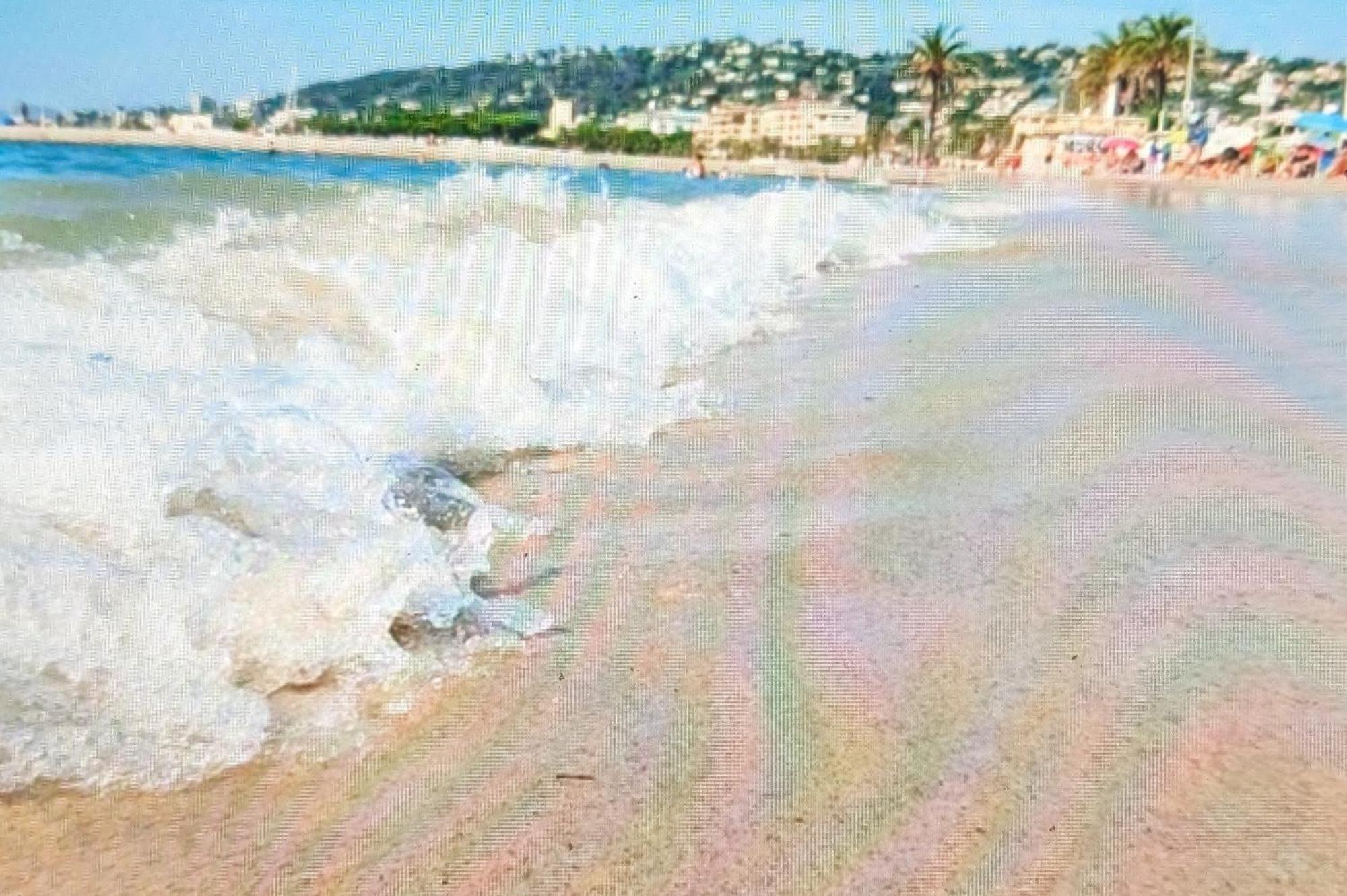 Residence De Vacances Avec Piscine & Transat, A 2 Minutes Des Plages - Bat N2 Vallauris Eksteriør billede